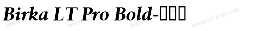 Birka LT Pro Bold字体转换